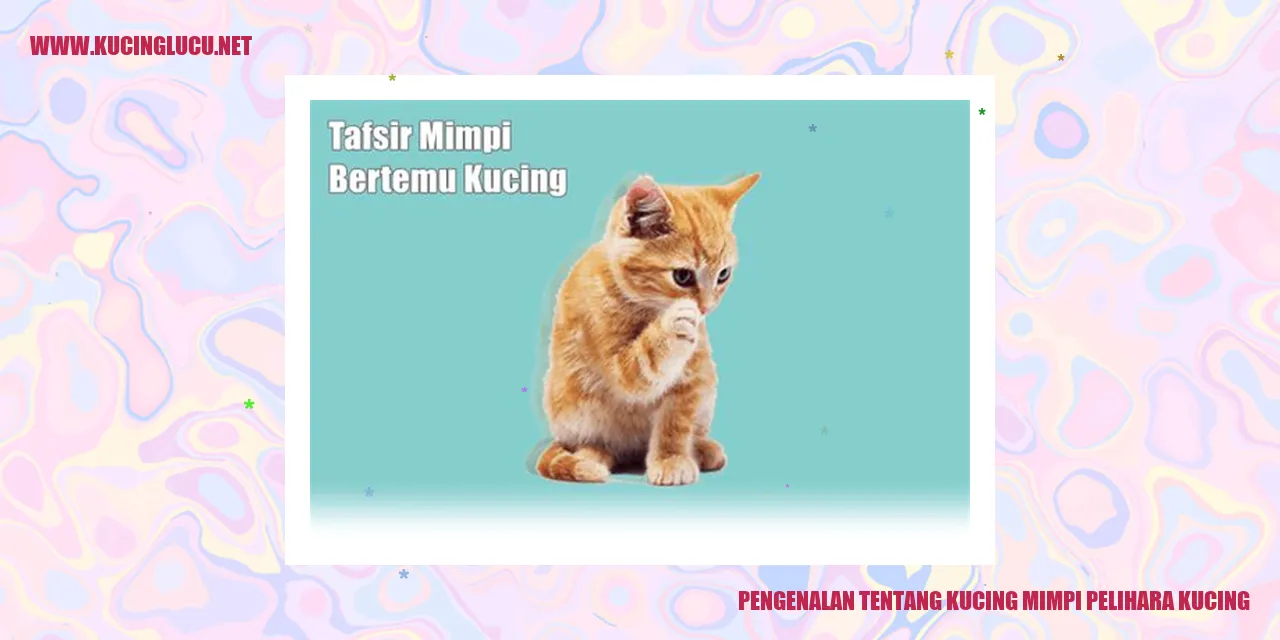 Gambar kucing lucu