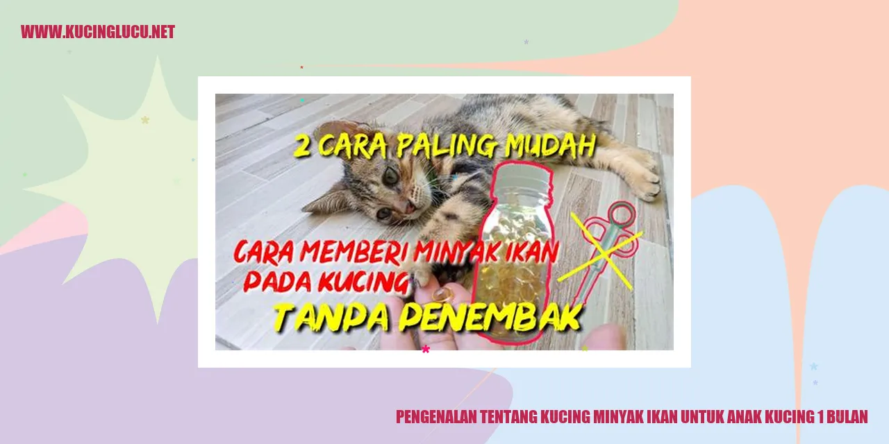 Gambar Kucing Minyak Ikan