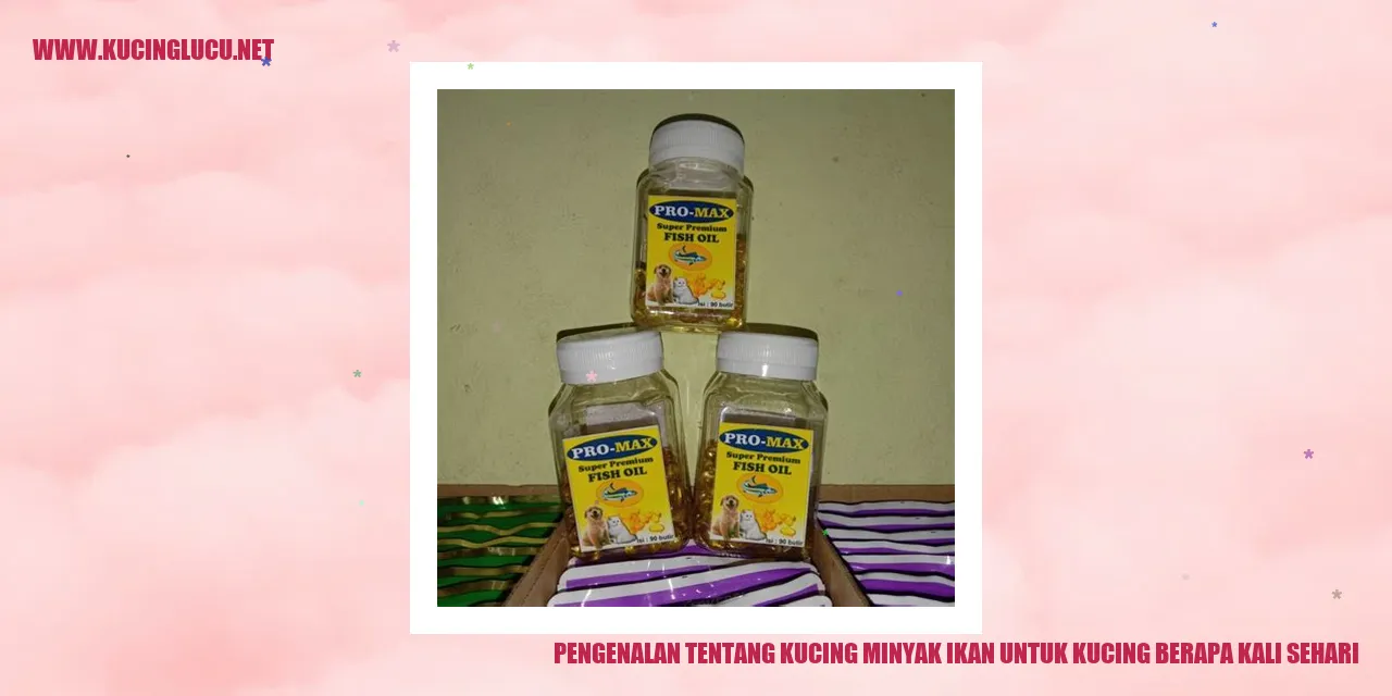 Gambar Minyak Ikan untuk Kucing