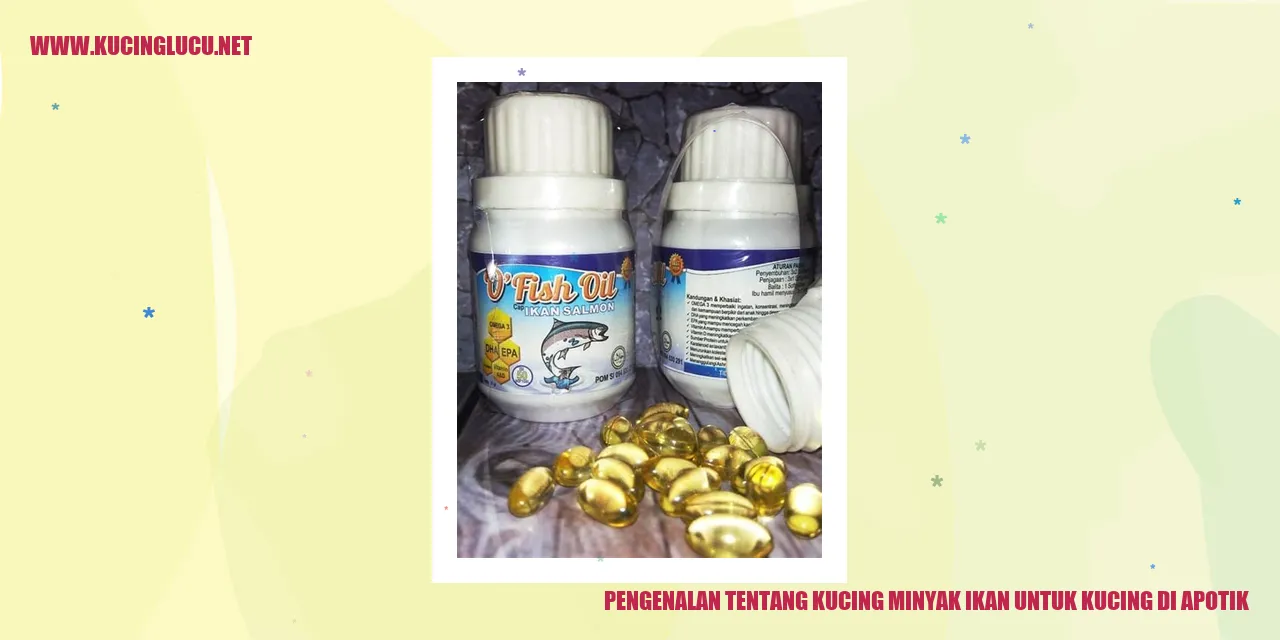 Gambar Kucing minyak ikan