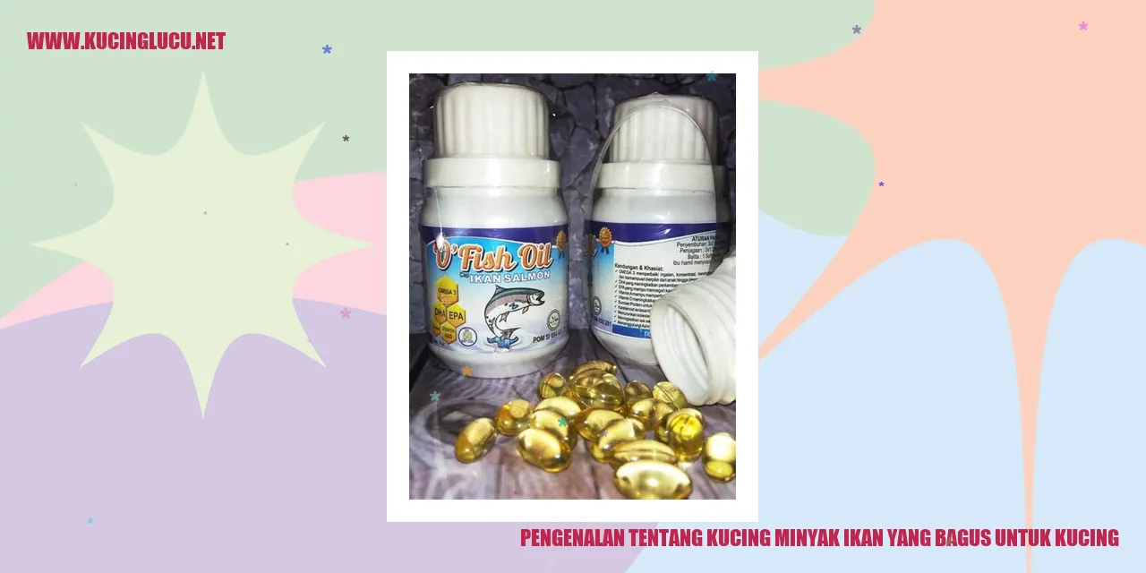 Gambar Kucing Minyak Ikan
