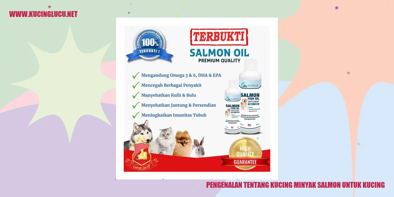 Minyak Salmon untuk Kucing