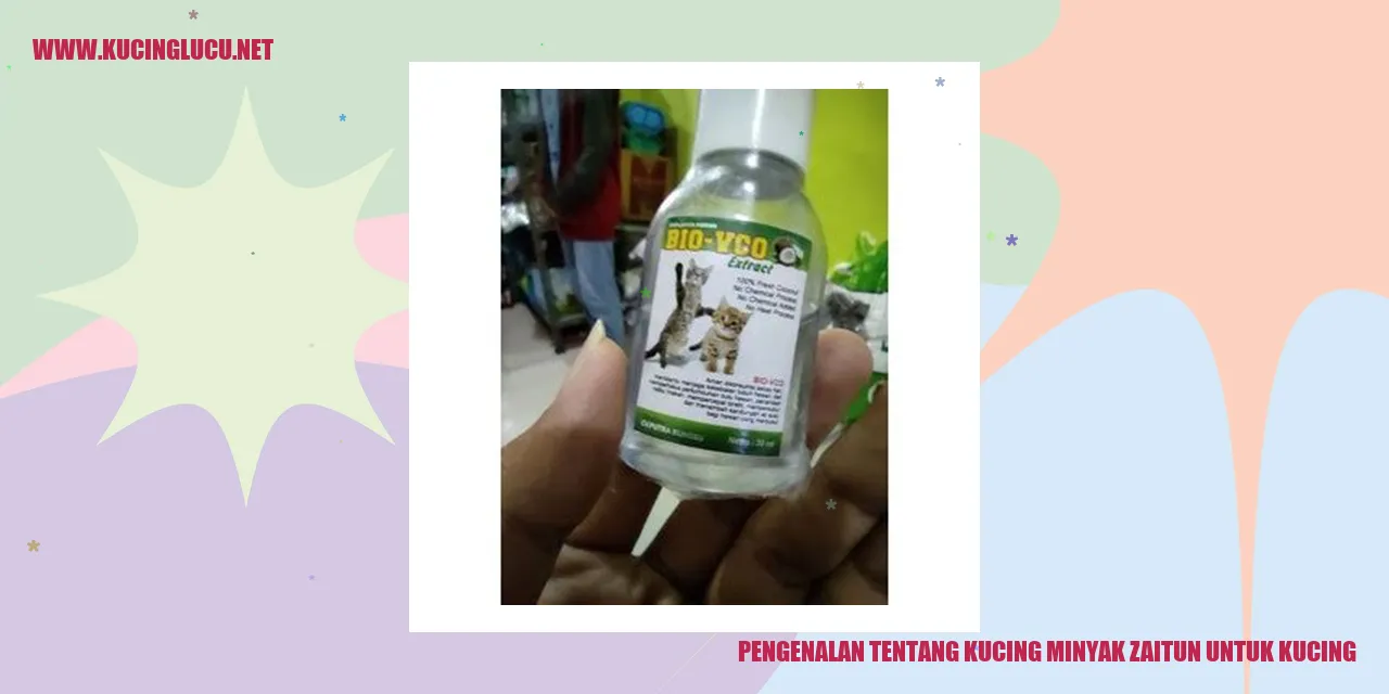 Kucing Minyak Zaitun