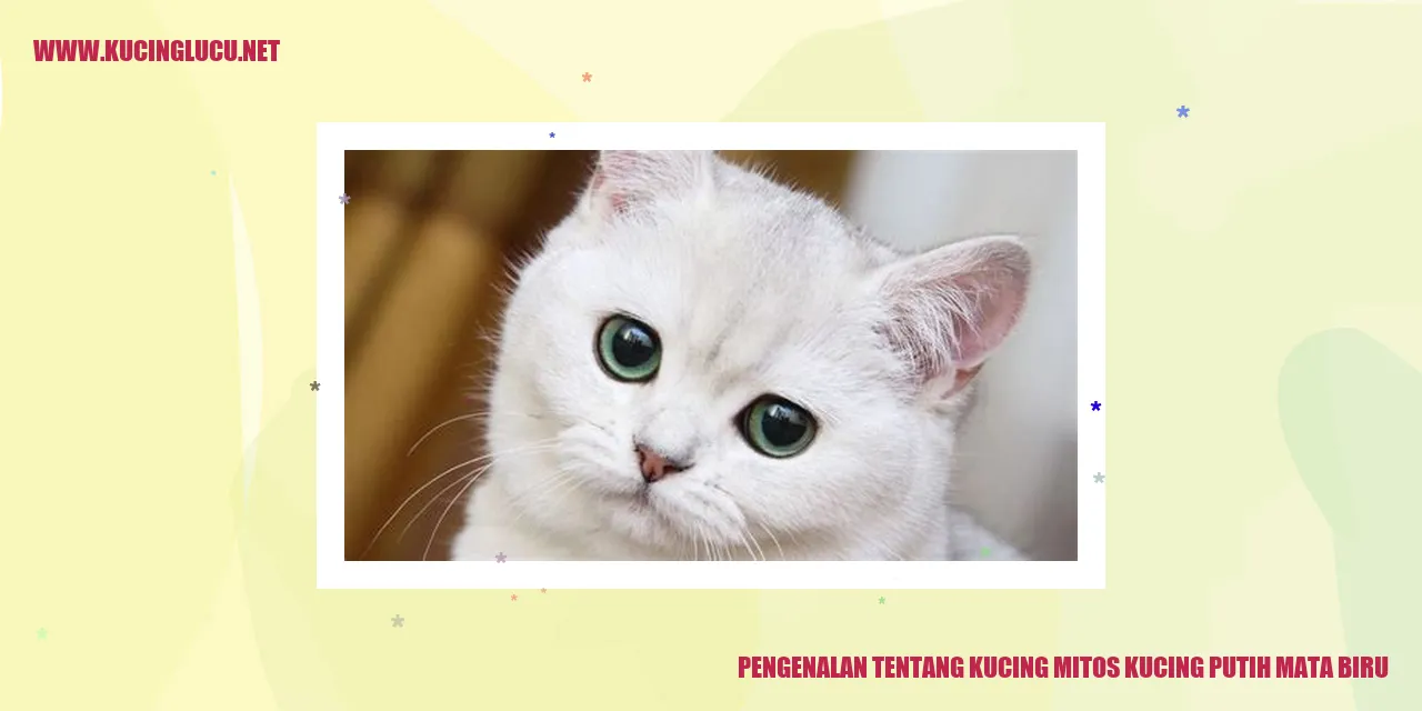 Kucing Putih Mata Biru