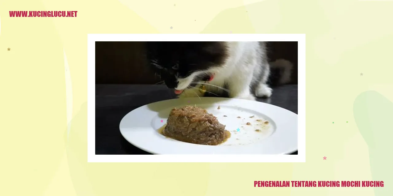 Kucing Mochi Kucing