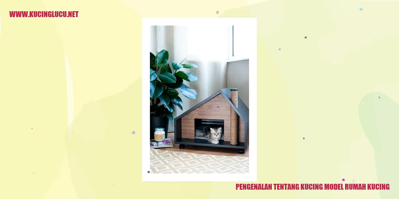 Kucing Model Rumah Kucing