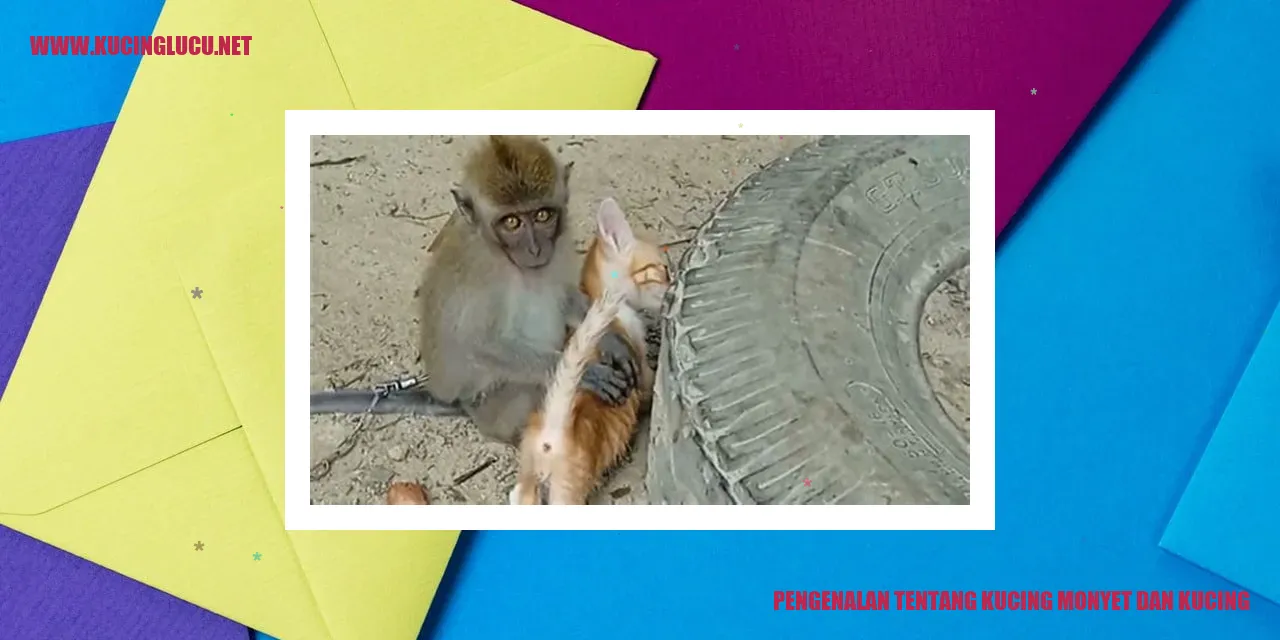 Gambar kucing lihat