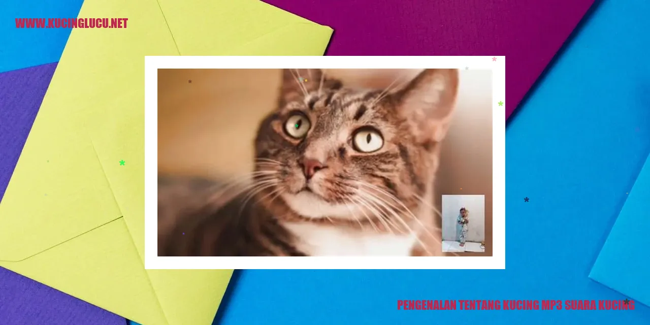 Gambar Kucing mp3 suara kucing