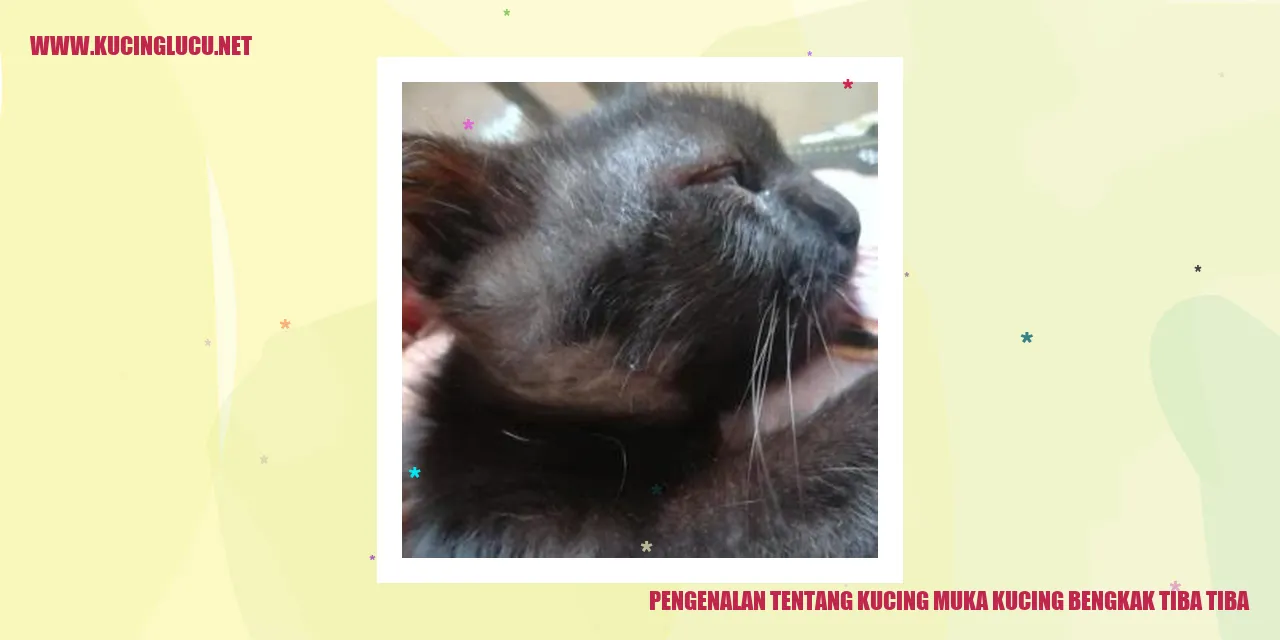 Kucing dengan wajah bengkak tiba-tiba