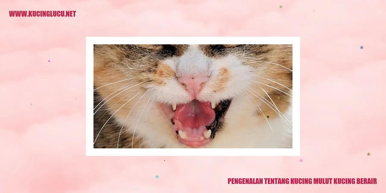 Kucing mulut kucing berair