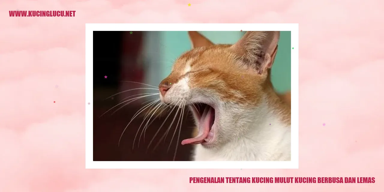 Kucing Mengalami Keadaan Mulut Berbusa dan Lemas