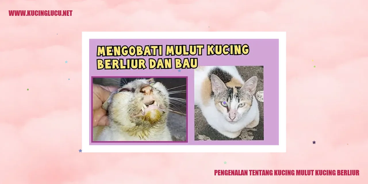 Gambar Kucing Mulut Kucing Berliur