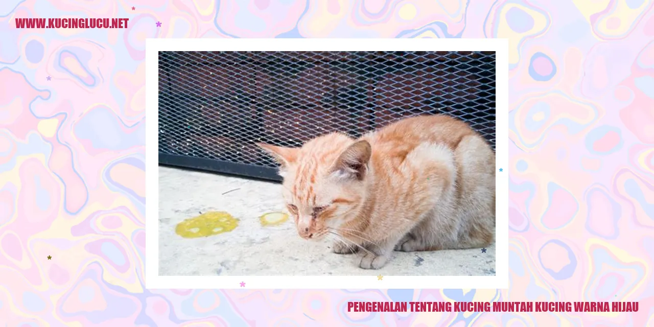 Gambar Kucing Muntah Kucing Warna Hijau