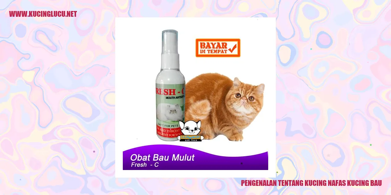 gambar kucing sedang beristirahat