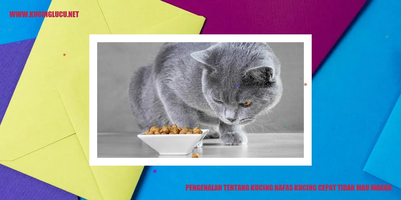 Kucing yang sedang bernapas dengan cepat dan tidak mau makan
