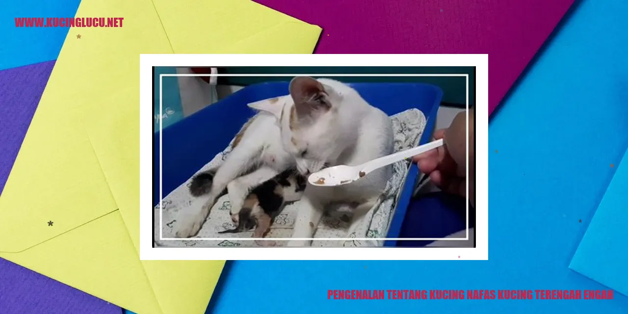 Kucing bernapas dengan suara terengah-engah