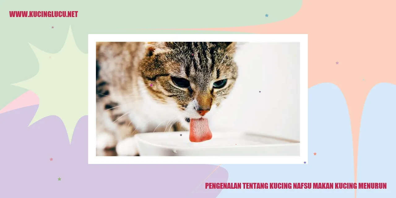 Gambar Kucing Menurunnya Nafsu Makan