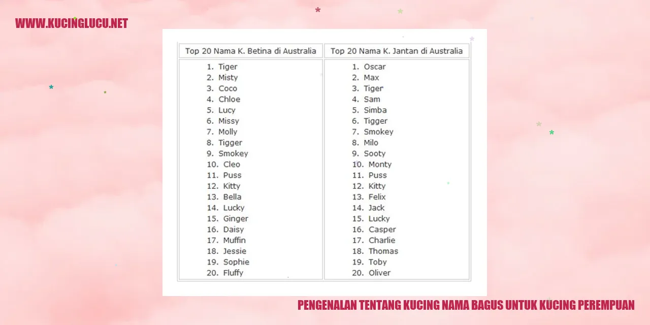 Kucing Perempuan