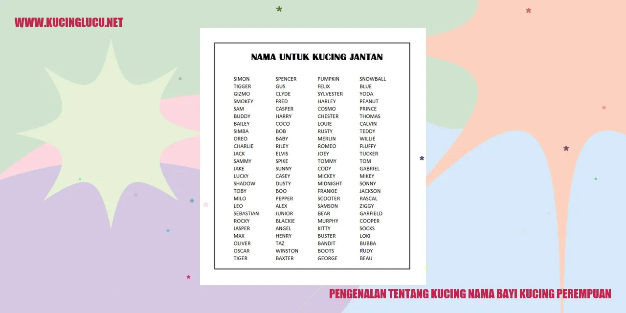 Gambar kucing lucu
