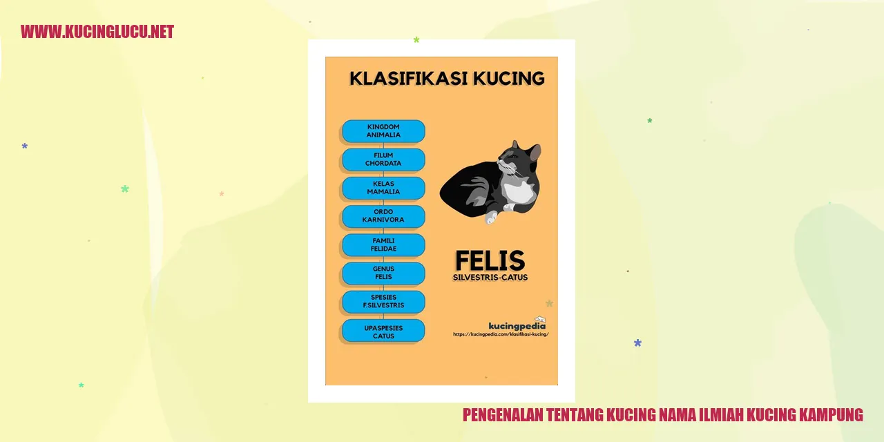 Kucing Kampung