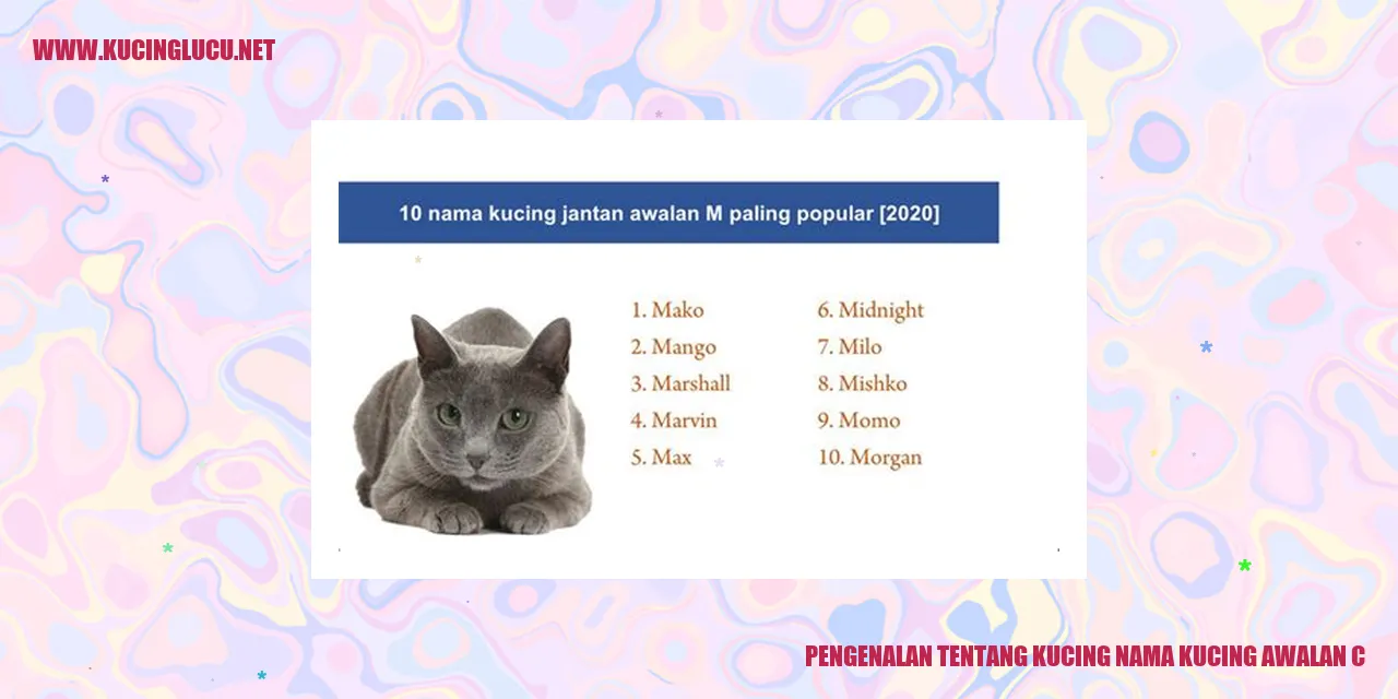 Kucing
