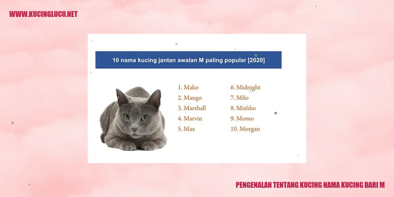 Gambar Kucing