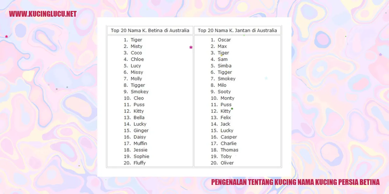 Kucing Persia Betina