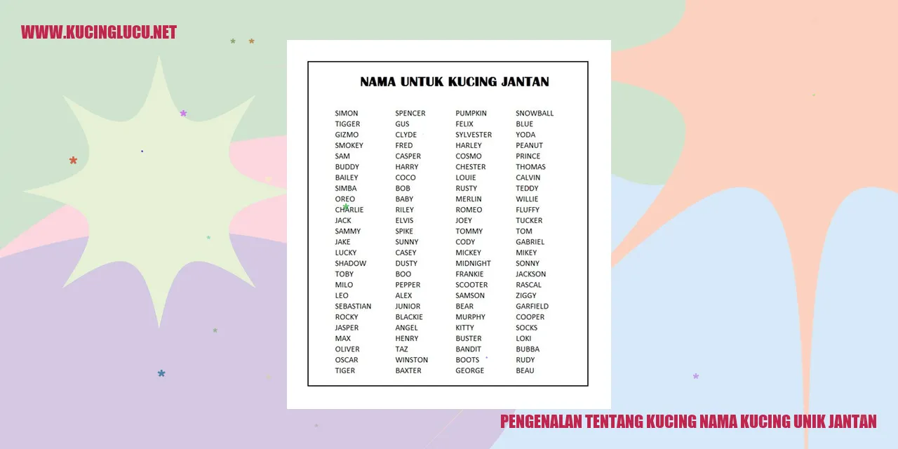 gambar kucing