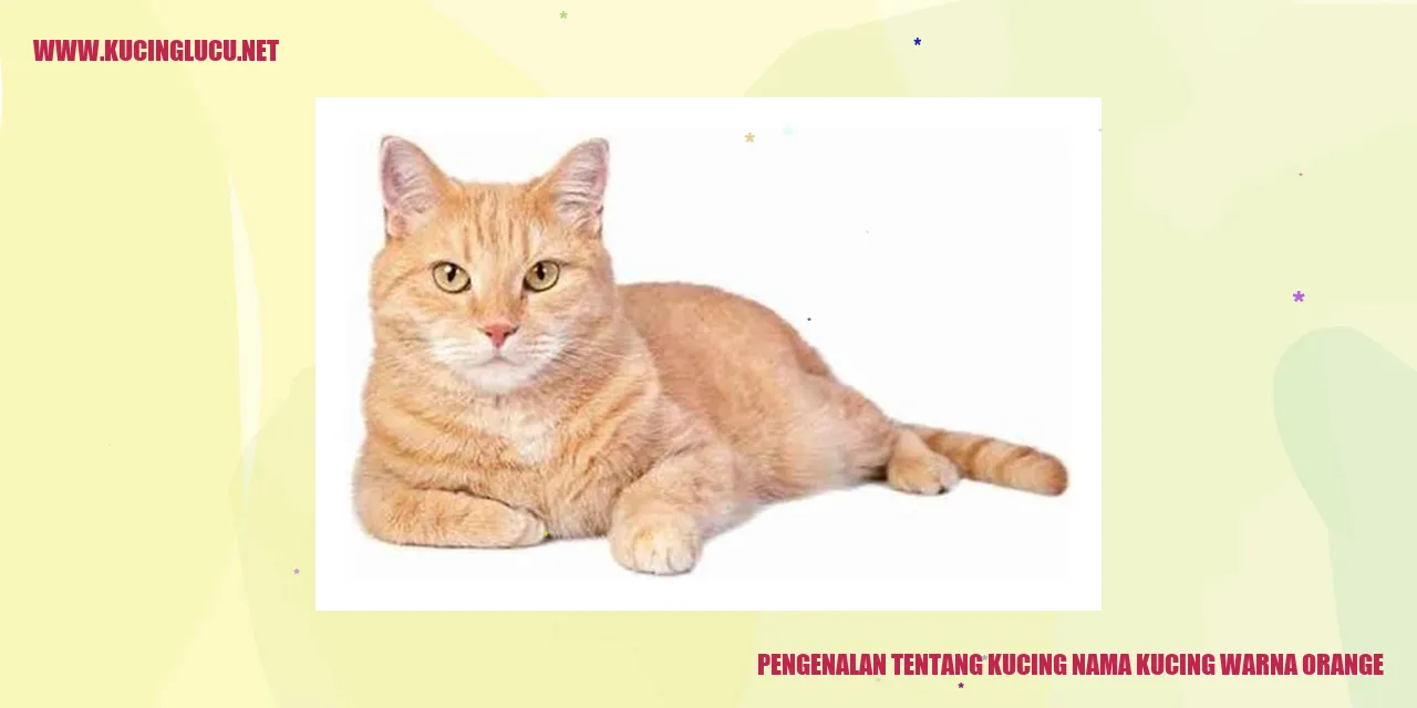 Pengenalan tentang Kucing nama kucing warna orange