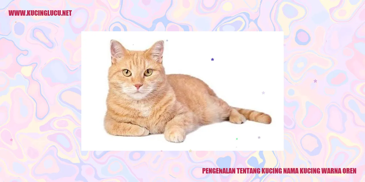 Kucing Warna Oren