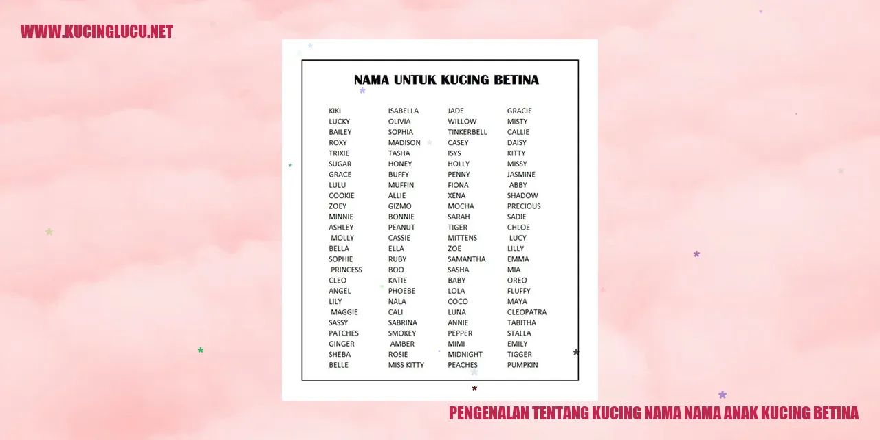 Gambar anak kucing betina