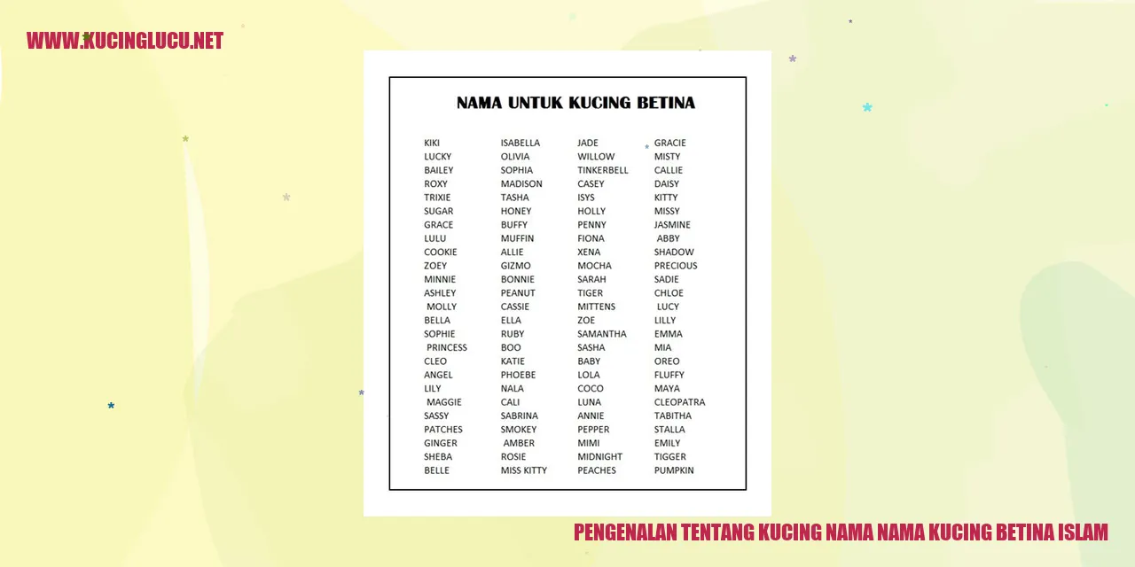 Gambar Kucing