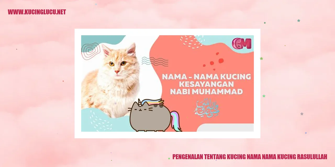 Gambar Kucing