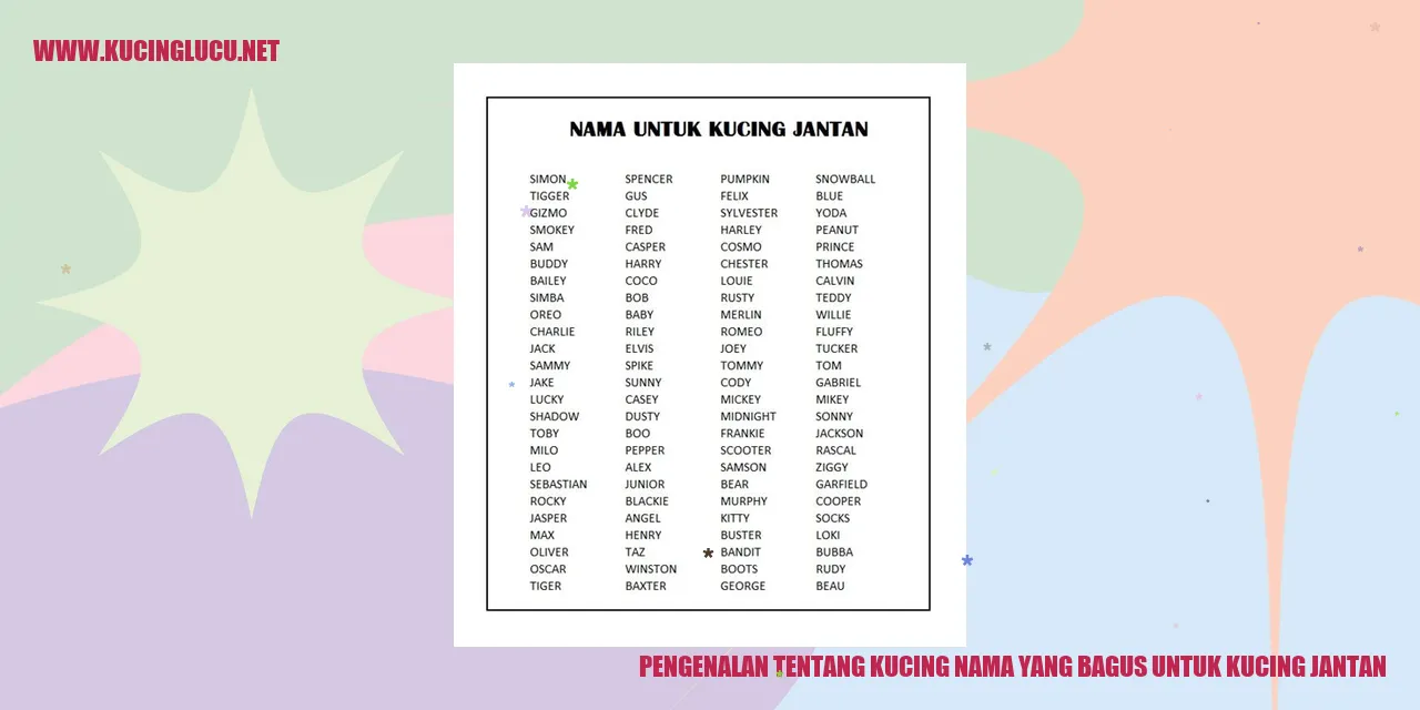 Kucing