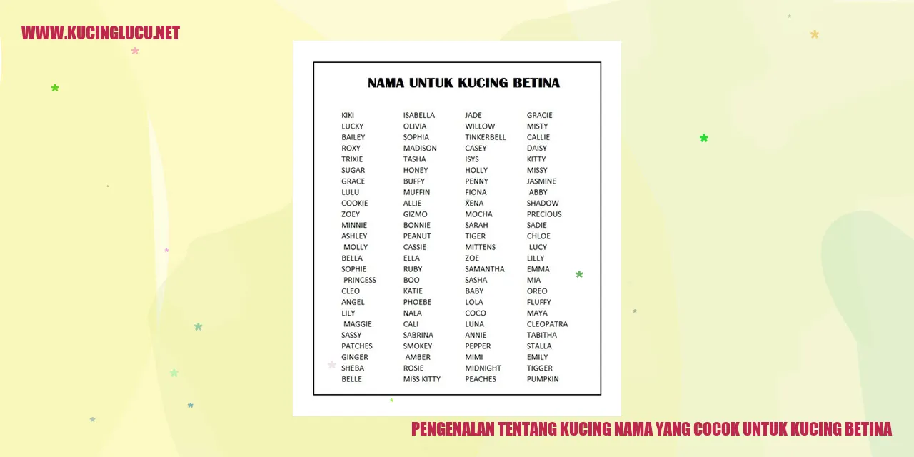 Gambar Kucing yang Menawan