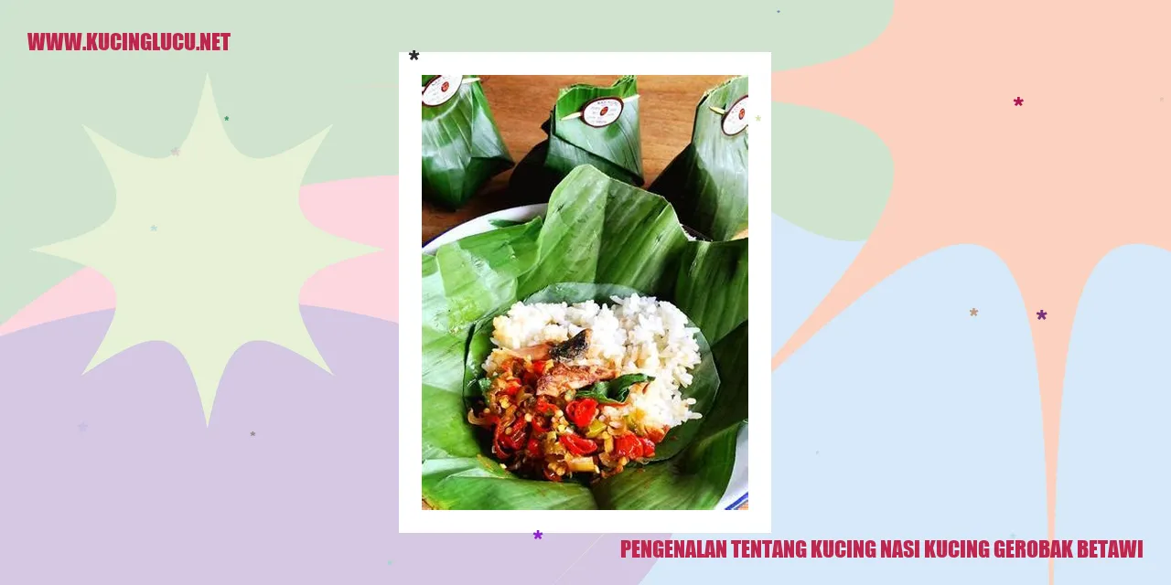 Kucing Nasi Kucing Gerobak Betawi