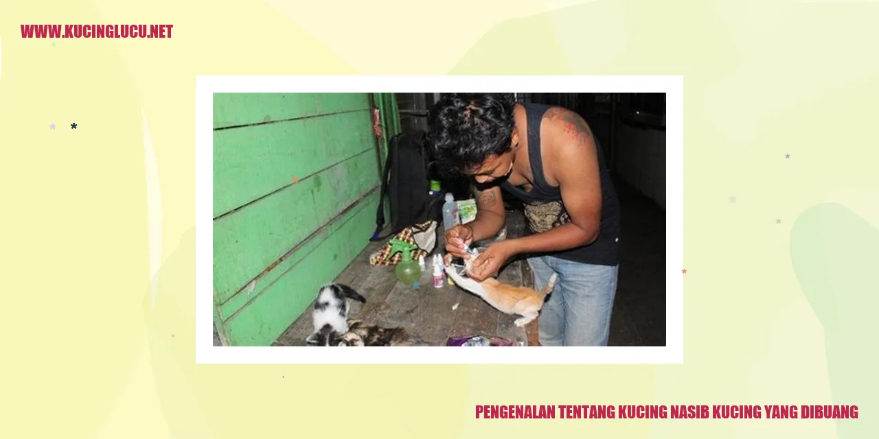 Ilustrasi Kucing