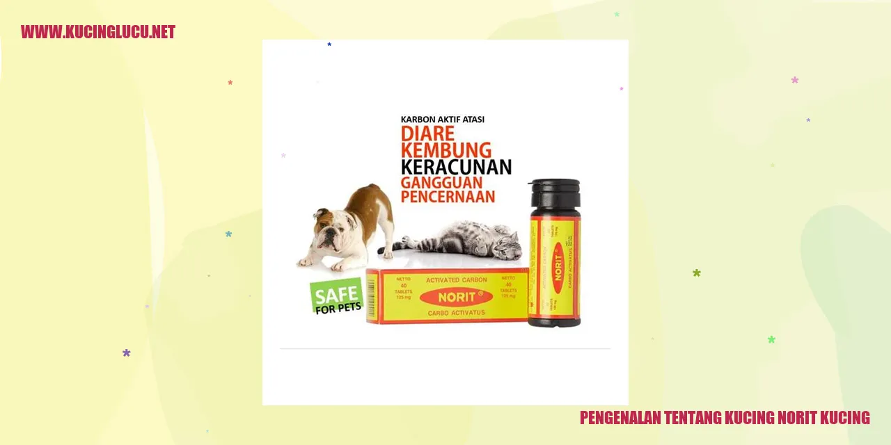 Kucing Norit Kucing