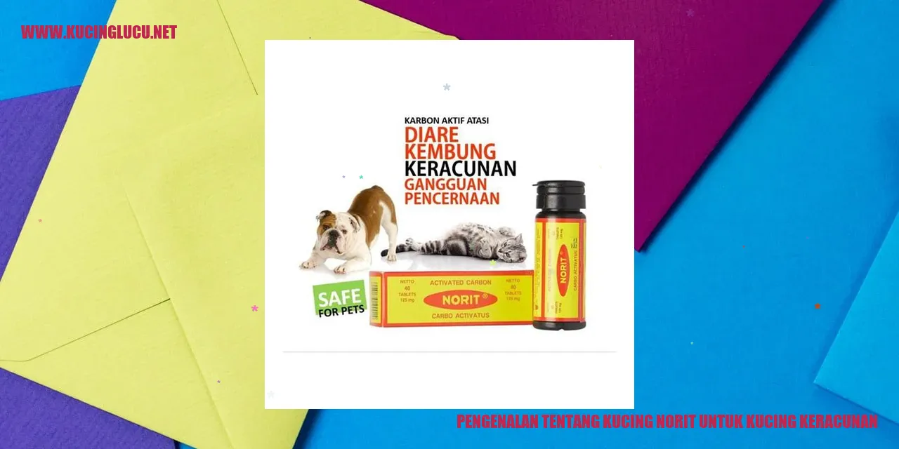 Ilustrasi kucing terkena keracunan