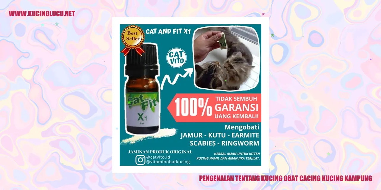 Gambar kucing obat cacing di desa
