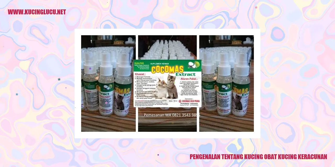 Kucing Keracunan