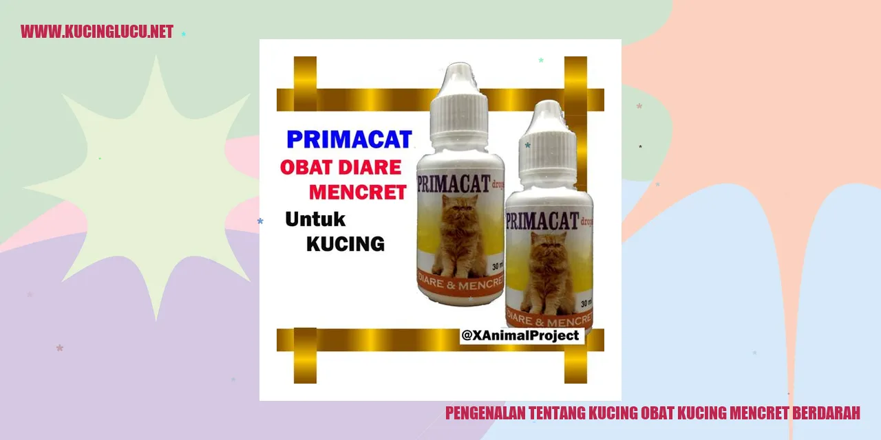 kucing obat kucing mencret berdarah