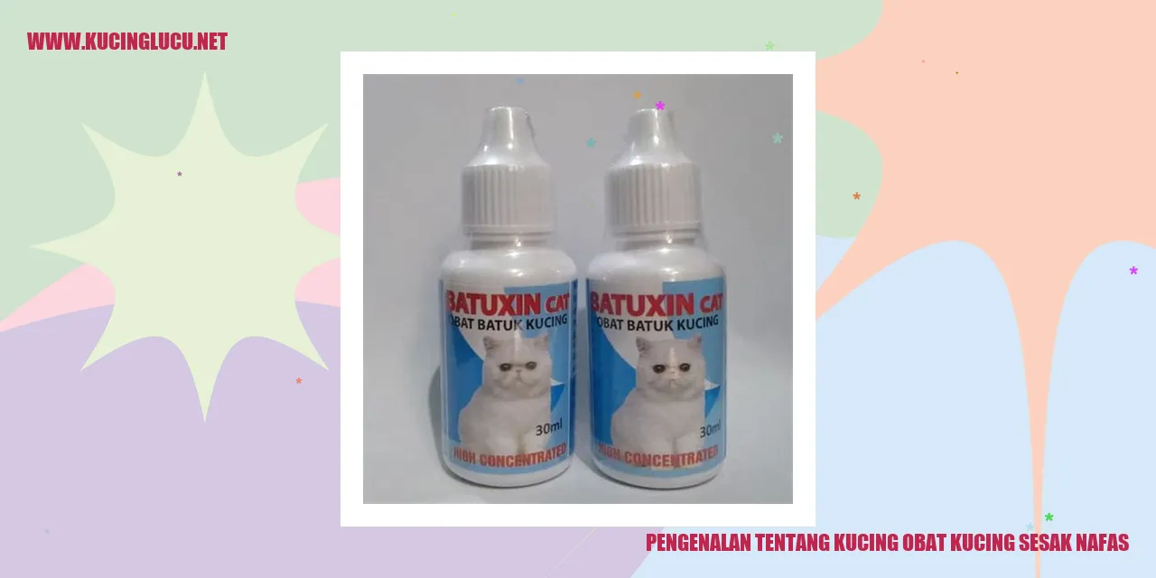 Gambar Kucing