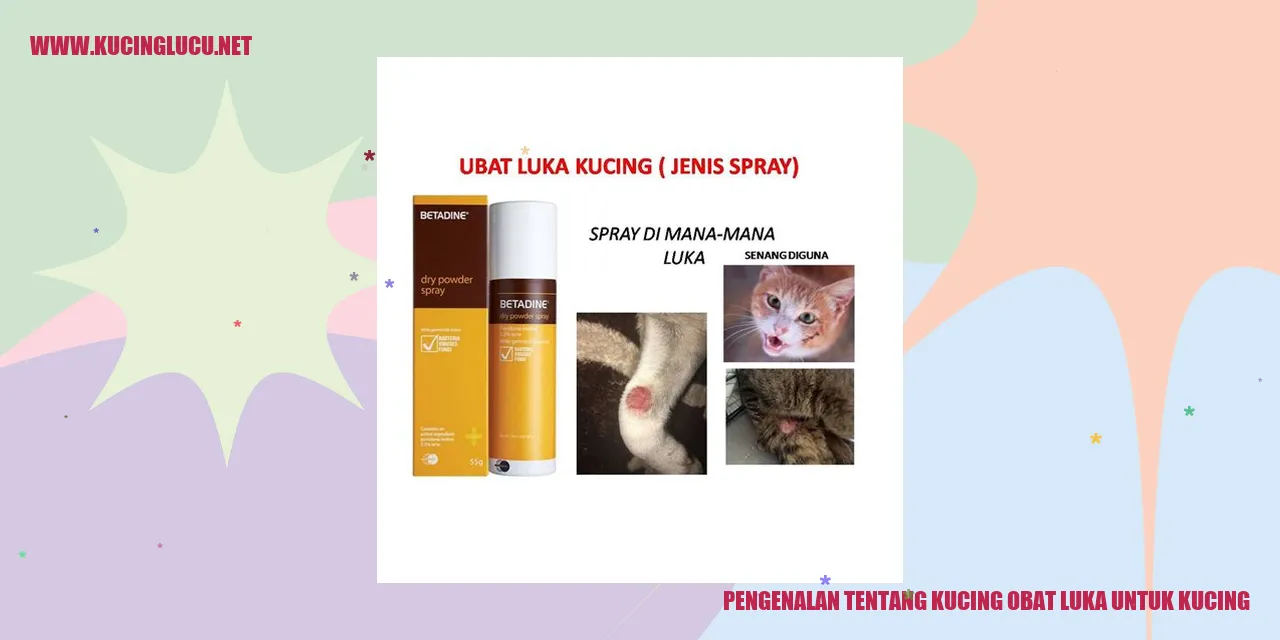Gambar kucing dengan luka