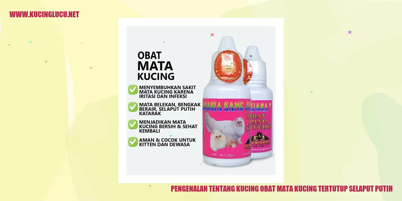Gambar Kucing yang Tertutup Selaput Putih