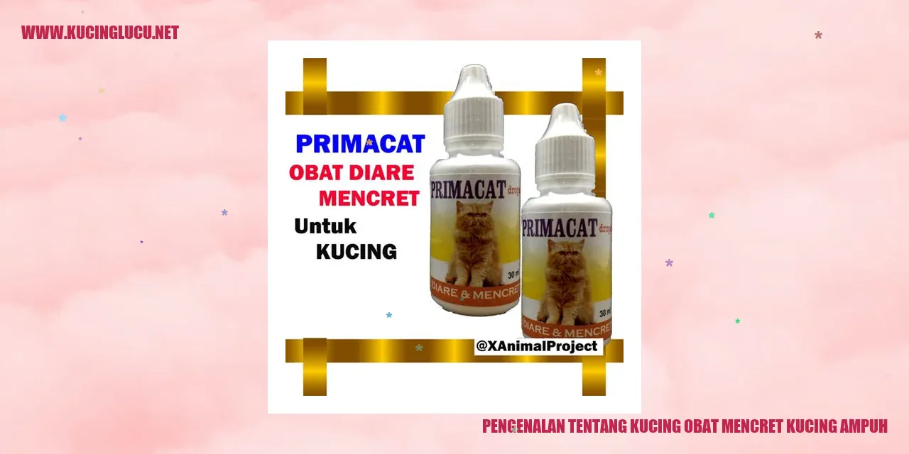 Kucing pengobatan mencret yang ampuh