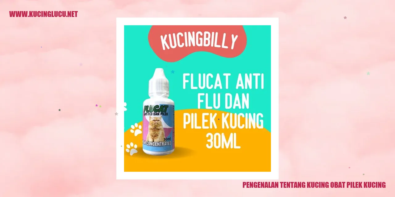 Kucing penyembuh pilek kucing