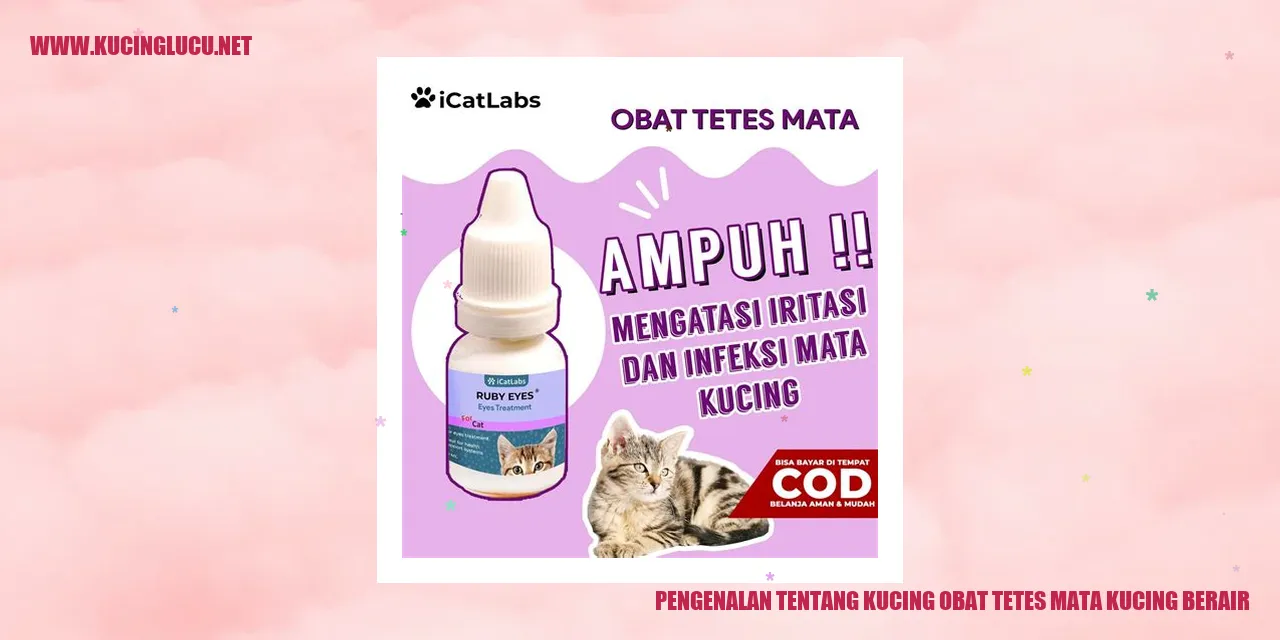 Gambar Kucing Obat Tetes Mata