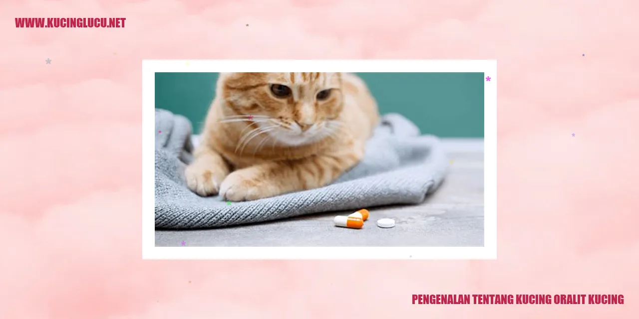 Gambar Kucing Oralit