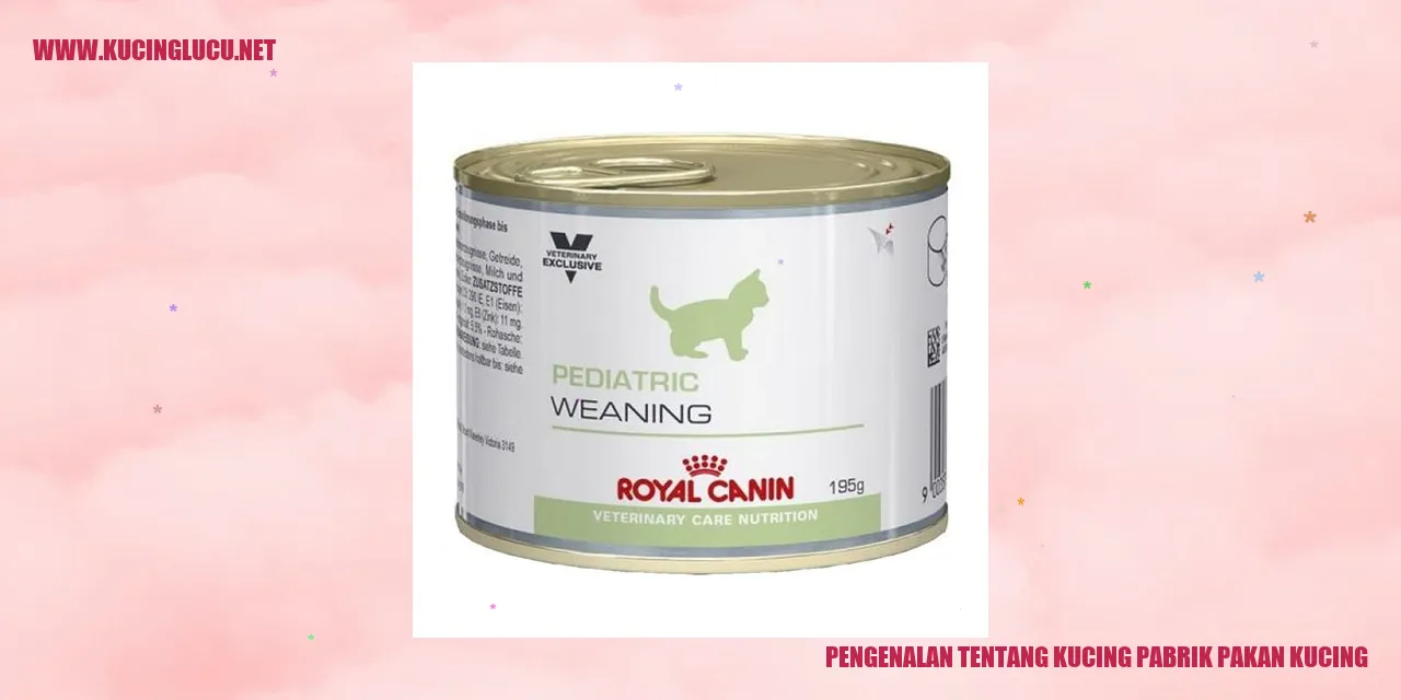 Kucing Pabrik Pakan Kucing